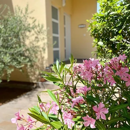 Apartament Rudy